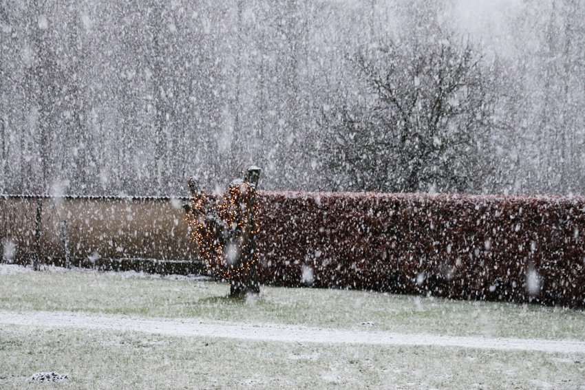 ”Nej se det snöar …” - Mediekompass